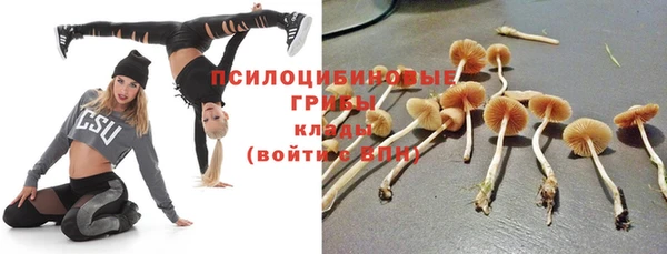спиды Заволжск