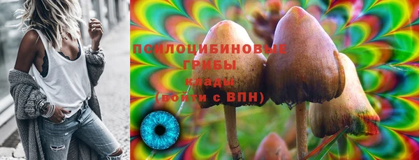 спайс Арсеньев