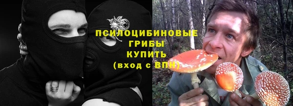 спайс Арсеньев