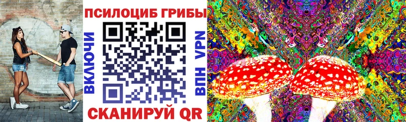 купить  цена  Петропавловск-Камчатский  Галлюциногенные грибы прущие грибы 