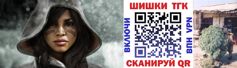где купить наркоту  Петропавловск-Камчатский  kraken онион  Бошки марихуана Amnesia 